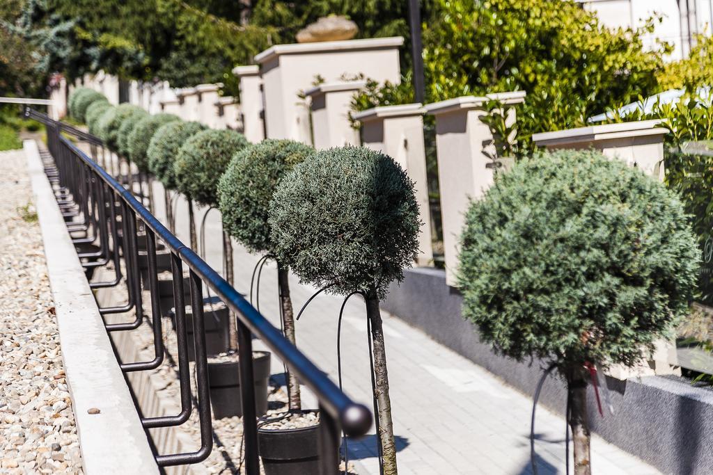 Villa Rosa Boutique Hotel Budapešť Exteriér fotografie